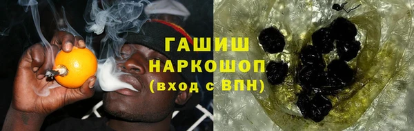 гашик Алексин