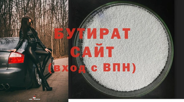 гашик Алексин
