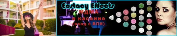 гашик Алексин