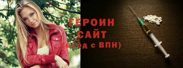 гашик Алексин
