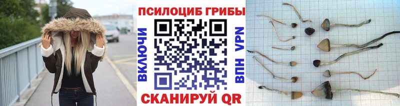 Псилоцибиновые грибы мухоморы Елабуга